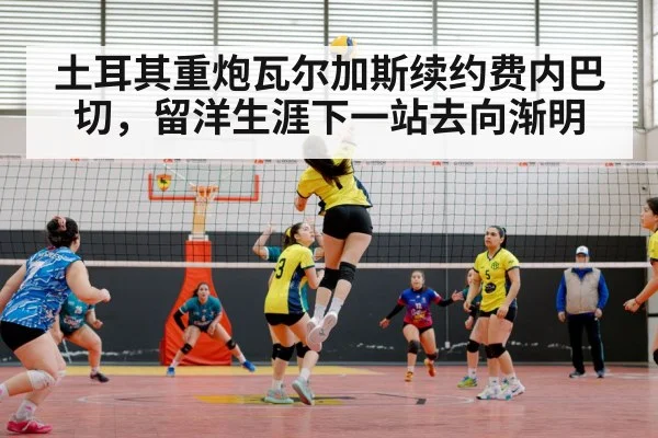 volleyball match action